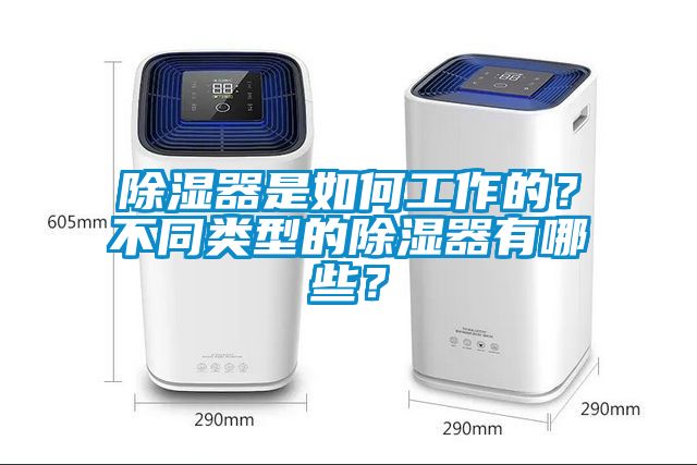 除濕器是如何工作的?不同類型的除濕器有哪些?