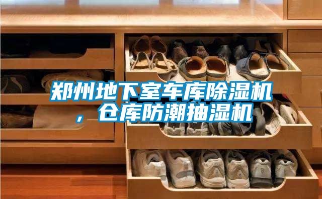 鄭州地下室車(chē)庫(kù)除濕機(jī),倉(cāng)庫(kù)防潮抽濕機(jī)