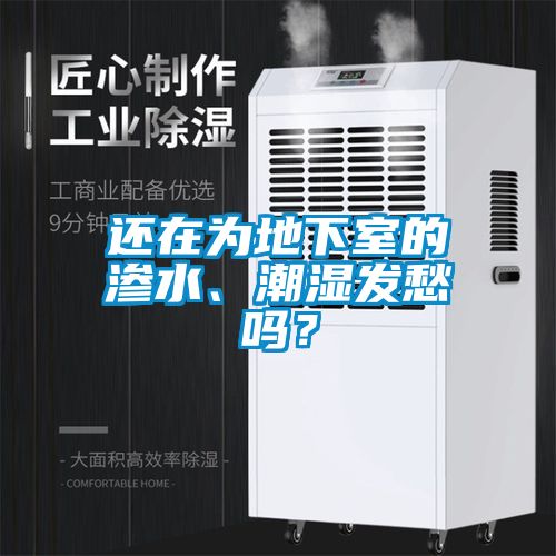 還在為地下室的滲水、潮濕發(fā)愁嗎?