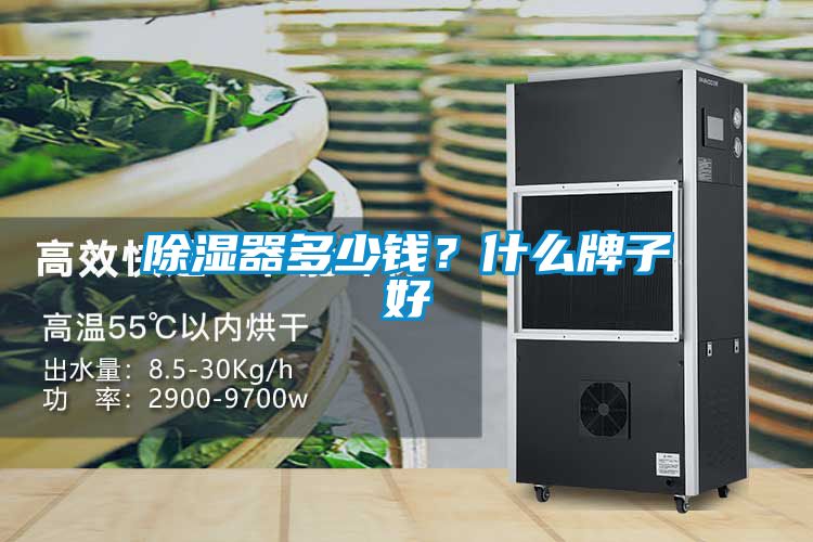 除濕器多少錢?什么牌子好