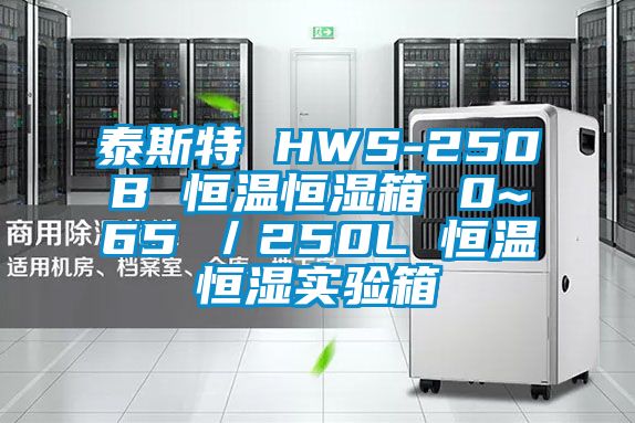 泰斯特 HWS-250B 恒溫恒濕箱 0~65℃/250L 恒溫恒濕實驗箱