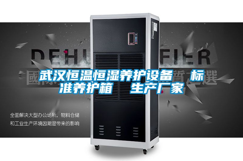 武漢恒溫恒濕養護設備 標準養護箱 生產廠家