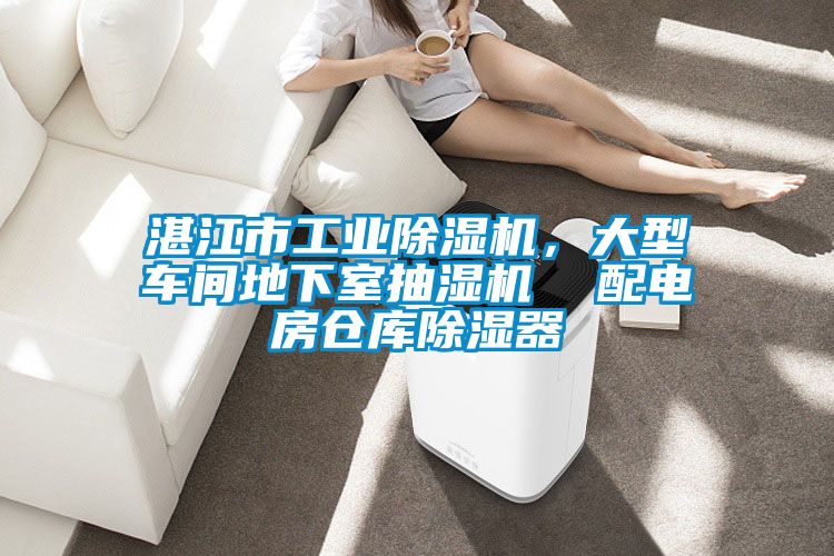 湛江市工業除濕機，大型車間地下室抽濕機  配電房倉庫除濕器