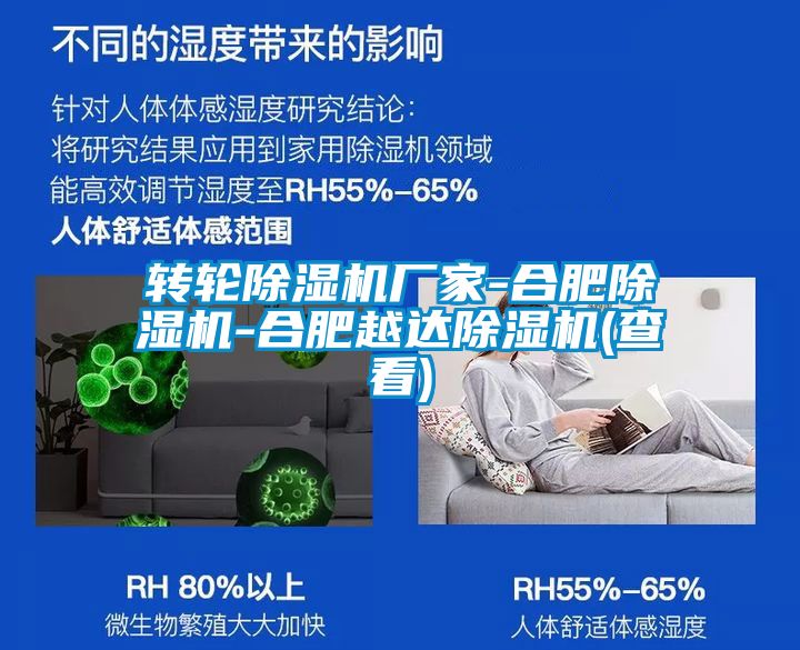 轉輪除濕機廠家-合肥除濕機-合肥越達除濕機(查看)