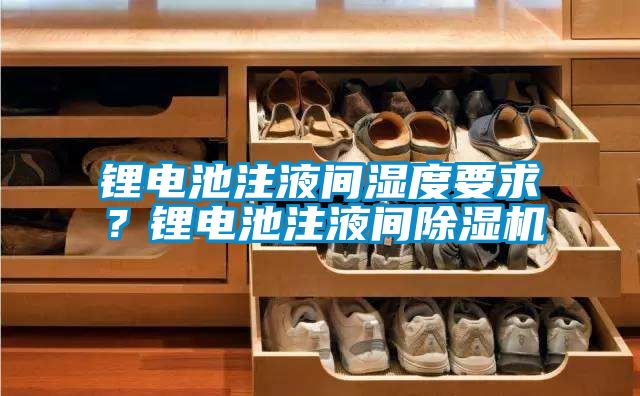 鋰電池注液間濕度要求？鋰電池注液間除濕機