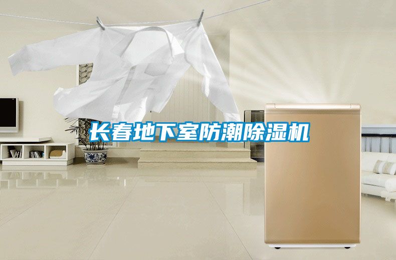 長春地下室防潮除濕機(jī)