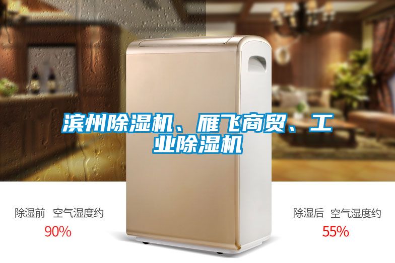 濱州除濕機、雁飛商貿、工業除濕機