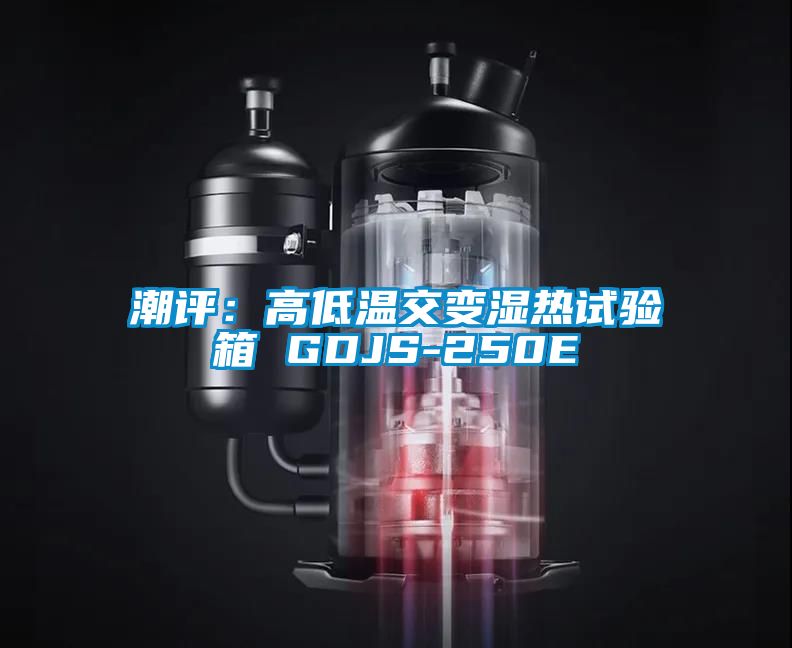 潮評:高低溫交變濕熱試驗箱 GDJS-250E