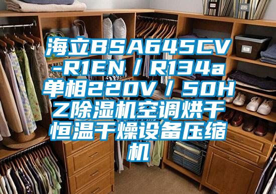 海立BSA645CV-R1EN/R134a單相220V/50HZ除濕機(jī)空調(diào)烘干恒溫干燥設(shè)備壓縮機(jī)