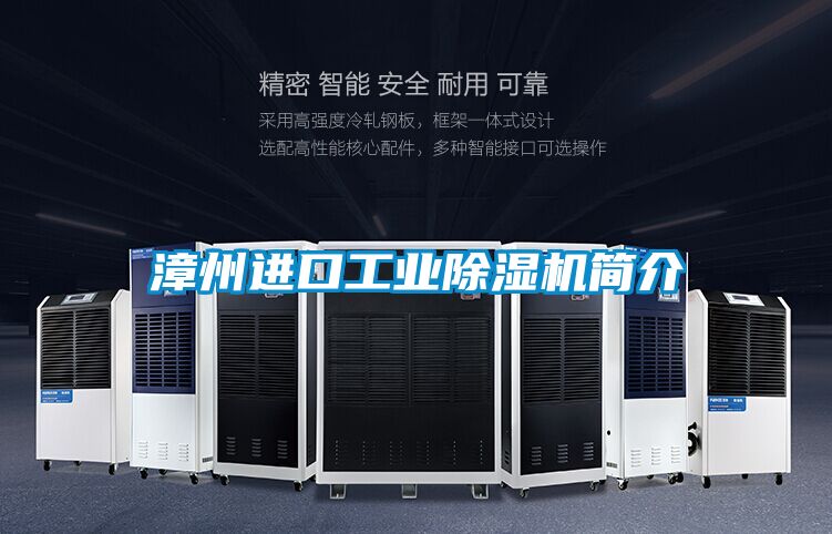 漳州進口工業除濕機簡介