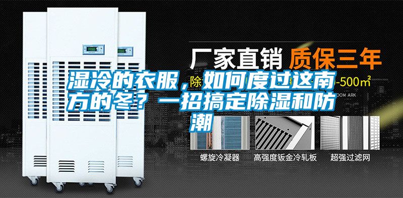 濕冷的衣服，如何度過這南方的冬？一招搞定除濕和防潮