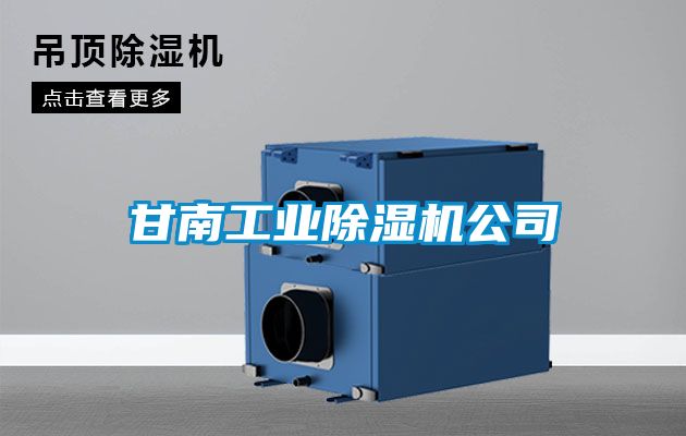 甘南工業除濕機公司