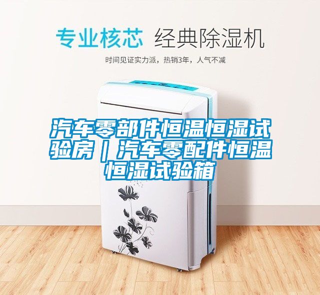 汽車零部件恒溫恒濕試驗房|汽車零配件恒溫恒濕試驗箱