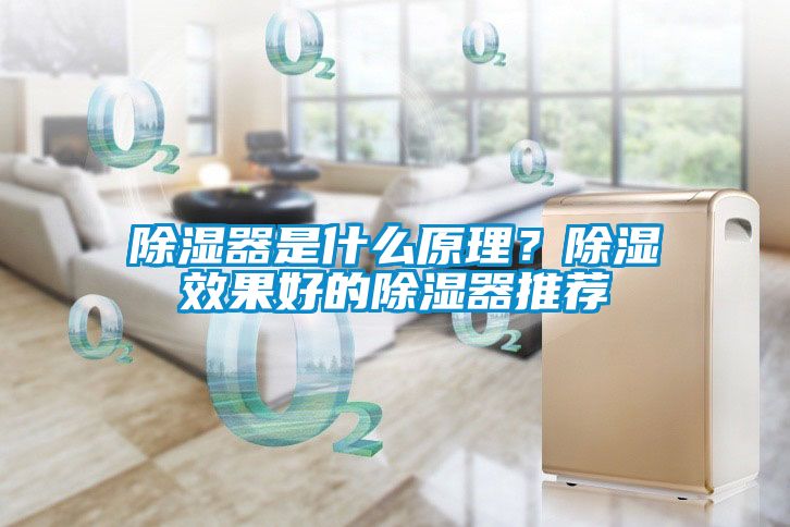 除濕器是什么原理？除濕效果好的除濕器推薦