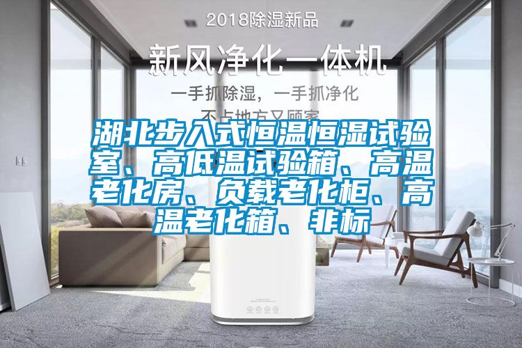 湖北步入式恒溫恒濕試驗室、高低溫試驗箱、高溫老化房、負載老化柜、高溫老化箱、非標