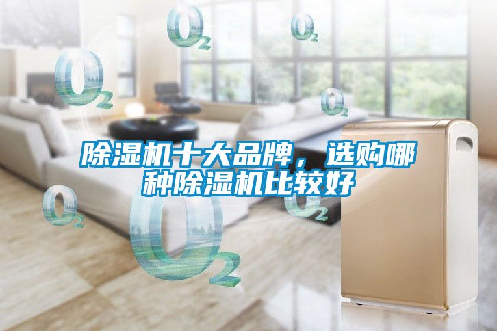 除濕機(jī)十大品牌,選購哪種除濕機(jī)比較好