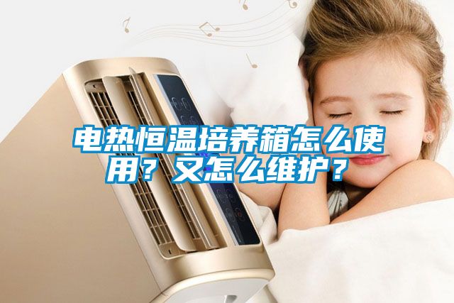 電熱恒溫培養(yǎng)箱怎么使用?又怎么維護(hù)?