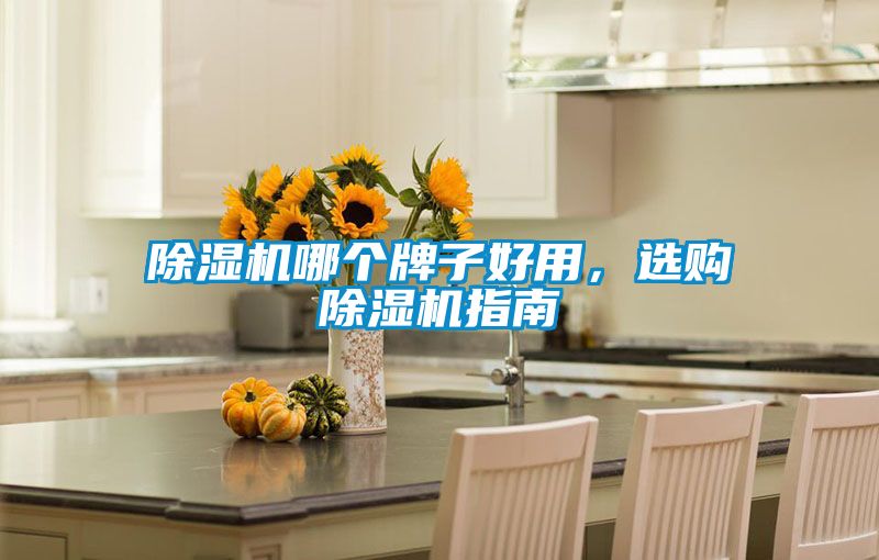 除濕機(jī)哪個(gè)牌子好用，選購(gòu)除濕機(jī)指南