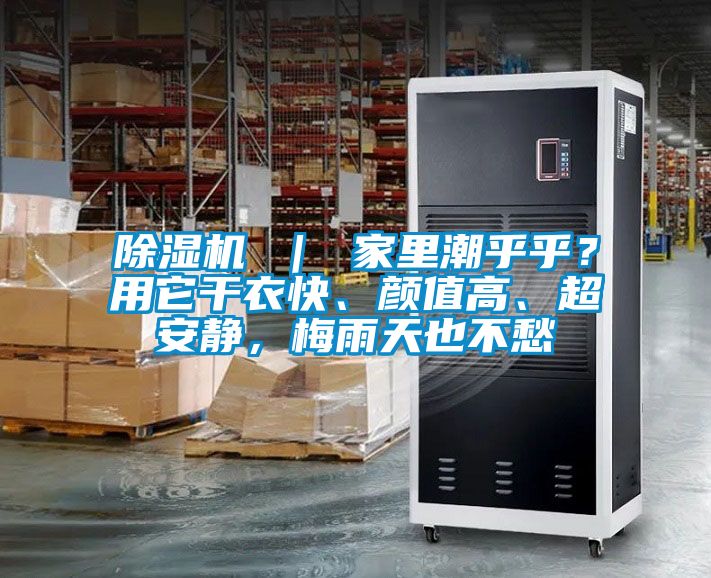 除濕機 | 家里潮乎乎?用它干衣快、顏值高、超安靜,梅雨天也不愁