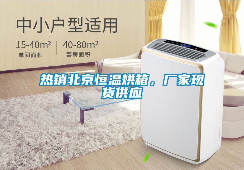 熱銷北京恒溫烘箱，廠家現貨供應