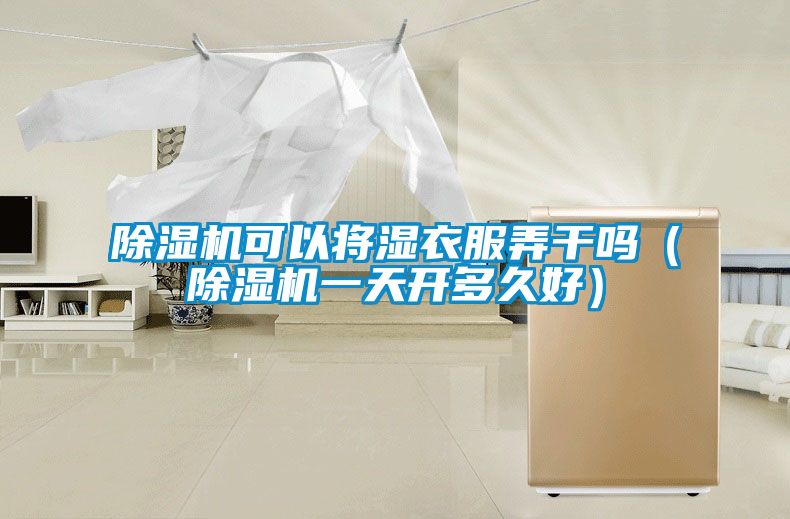 除濕機(jī)可以將濕衣服弄干嗎(除濕機(jī)一天開多久好)