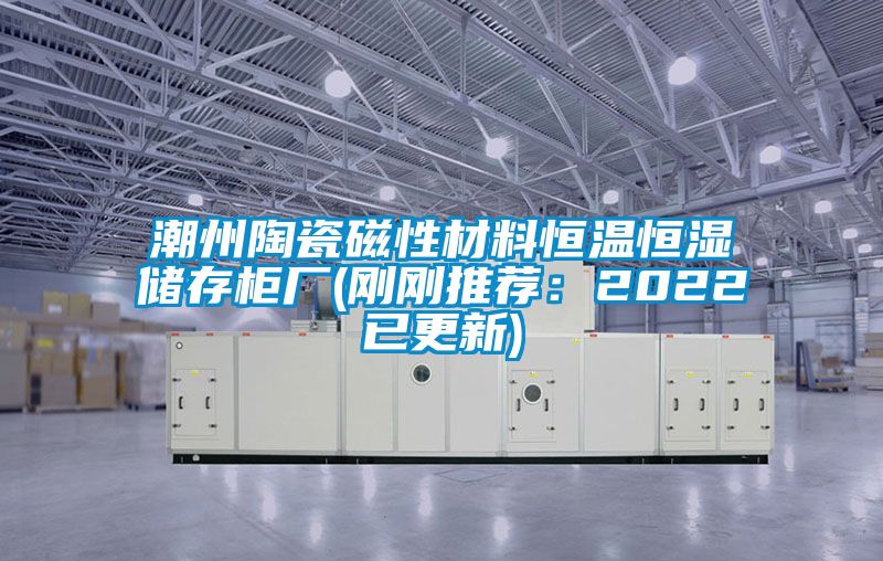 潮州陶瓷磁性材料恒溫恒濕儲存柜廠(剛剛推薦:2022已更新)