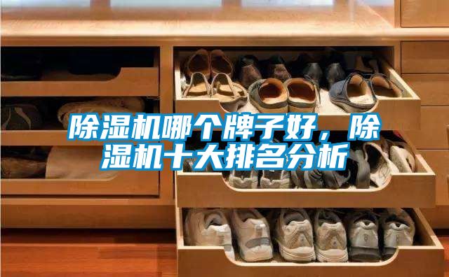 除濕機哪個牌子好，除濕機十大排名分析