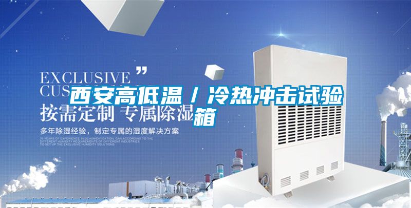 西安高低溫/冷熱沖擊試驗箱