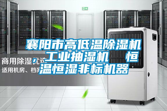 襄陽(yáng)市高低溫除濕機(jī)，工業(yè)抽濕機(jī)  恒溫恒濕非標(biāo)機(jī)器
