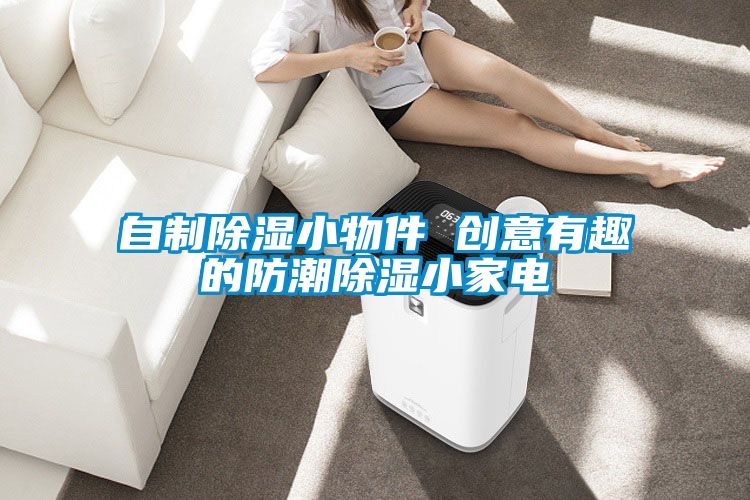 自制除濕小物件 創意有趣的防潮除濕小家電