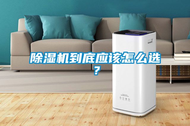 除濕機(jī)到底應(yīng)該怎么選?