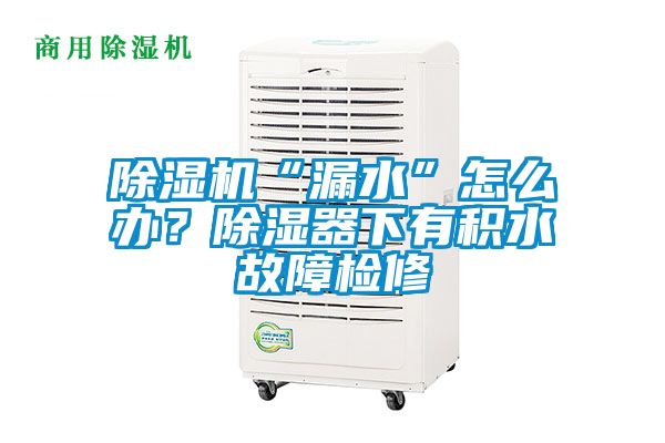 除濕機“漏水”怎么辦?除濕器下有積水故障檢修