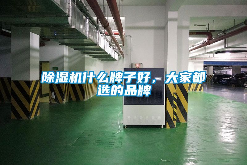 除濕機什么牌子好,大家都選的品牌