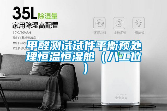 甲醛測(cè)試試件平衡預(yù)處理恒溫恒濕艙(八工位)