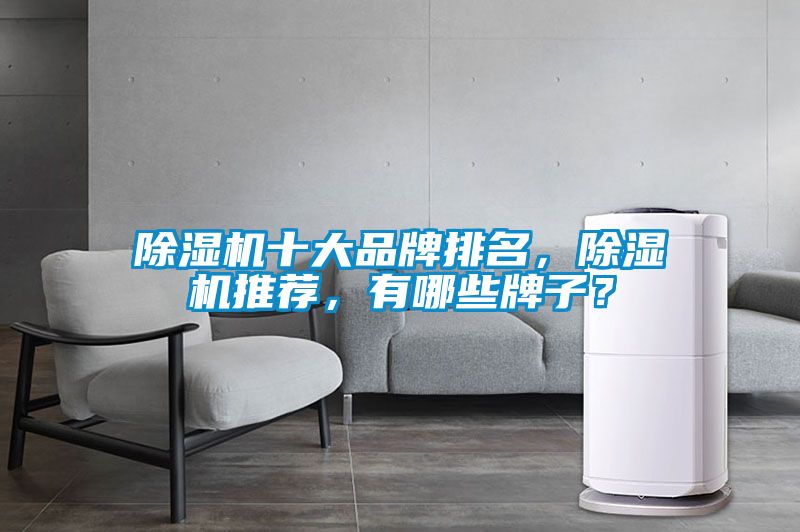除濕機十大品牌排名,除濕機推薦,有哪些牌子?