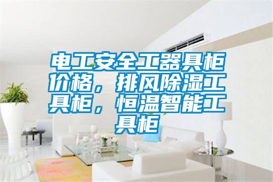 電工安全工器具柜價(jià)格,排風(fēng)除濕工具柜,恒溫智能工具柜