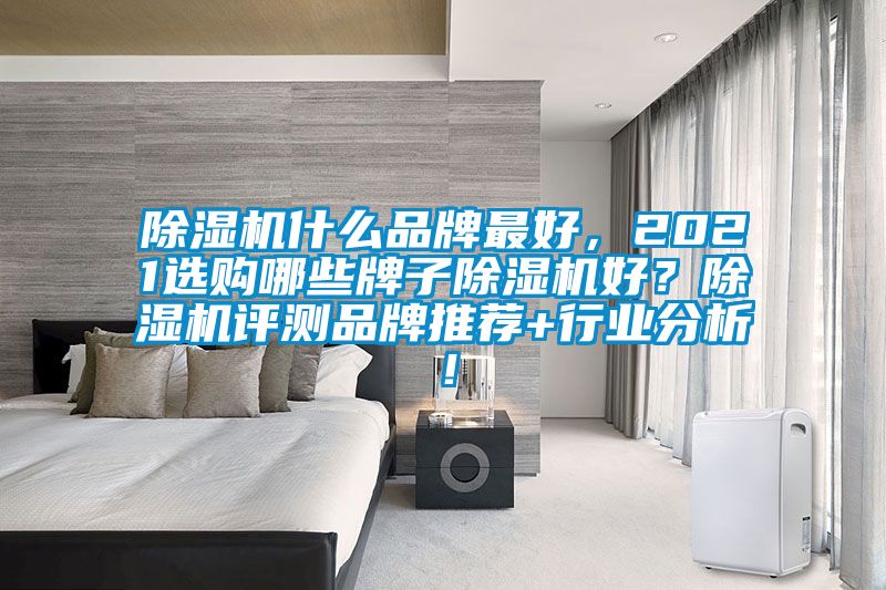 除濕機什么品牌最好，2021選購哪些牌子除濕機好？除濕機評測品牌推薦+行業分析！