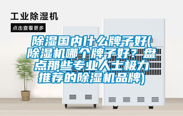 除濕國內什么牌子好(除濕機哪個牌子好?盤點那些專業人士極力推薦的除濕機品牌)