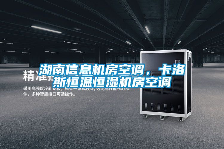 湖南信息機房空調,卡洛斯恒溫恒濕機房空調