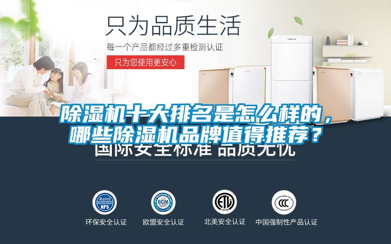 除濕機十大排名是怎么樣的,哪些除濕機品牌值得推薦?