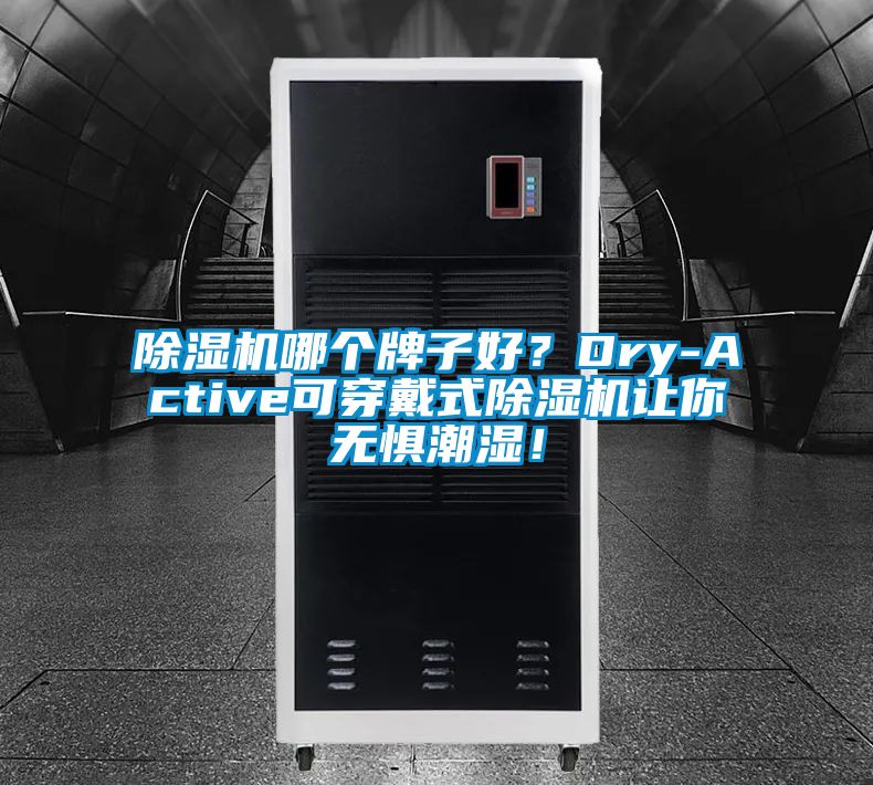 除濕機哪個牌子好？Dry-Active可穿戴式除濕機讓你無懼潮濕！
