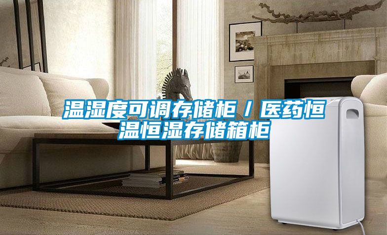 溫濕度可調(diào)存儲柜/醫(yī)藥恒溫恒濕存儲箱柜