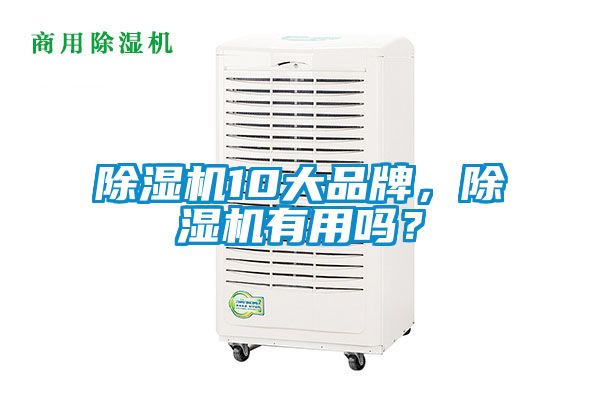除濕機10大品牌,除濕機有用嗎?