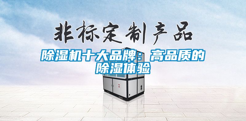 除濕機(jī)十大品牌:高品質(zhì)的除濕體驗