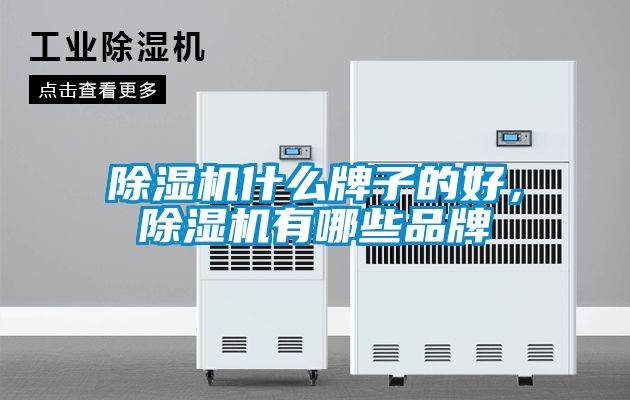 除濕機什么牌子的好，除濕機有哪些品牌