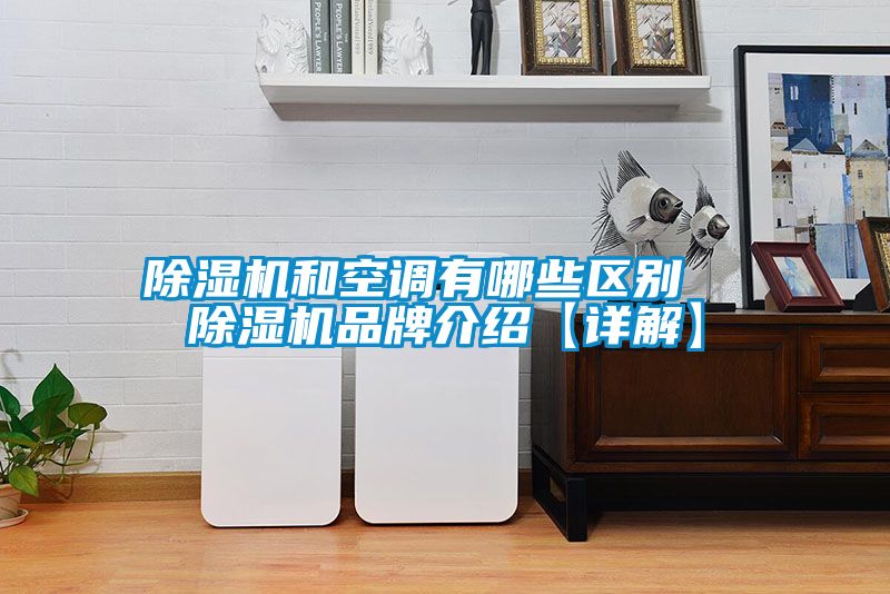 除濕機(jī)和空調(diào)有哪些區(qū)別 除濕機(jī)品牌介紹【詳解】