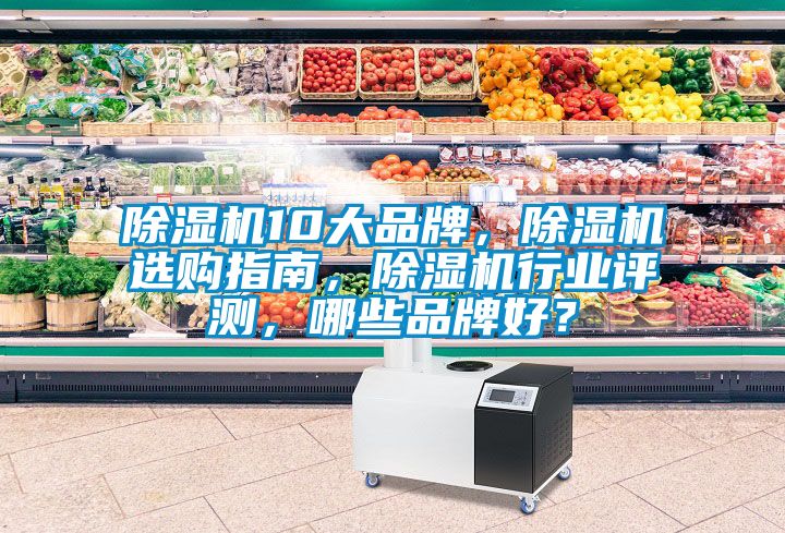 除濕機10大品牌，除濕機選購指南，除濕機行業評測，哪些品牌好？