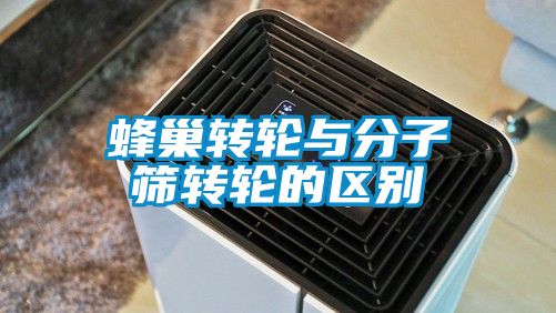 蜂巢轉輪與分子篩轉輪的區別