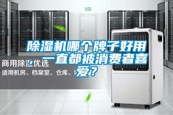 除濕機哪個牌子好用，一直都被消費者喜愛？