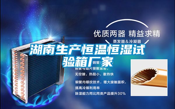 湖南生產(chǎn)恒溫恒濕試驗(yàn)箱廠(chǎng)家